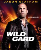 Wild Card /  